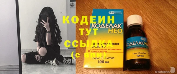крисы Армянск