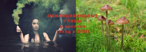 крисы Армянск