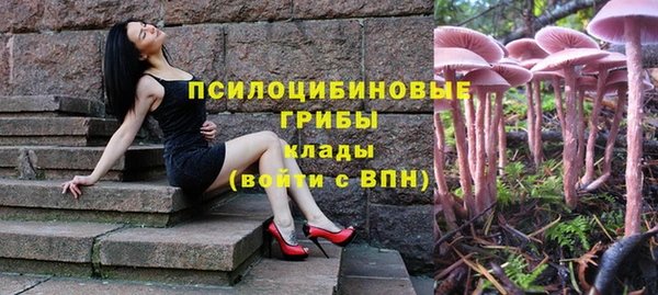 спиды Арсеньев